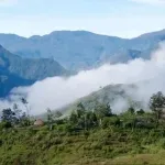Papua 2026: Antara Otonomi dan Ancaman Demografis