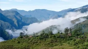 Papua 2026: Antara Otonomi dan Ancaman Demografis